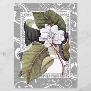 Invitation Elégant Magnolia Sud Belle Mariage