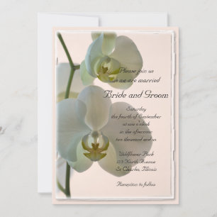 Invitation Elégant Mariage d'orchidées blanches