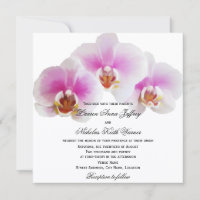 Élégant Mariage d'orchidées peintes