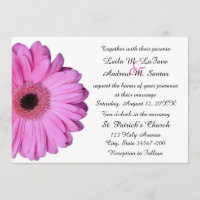 Élégant rose clair Gerbera Mariage marguerite