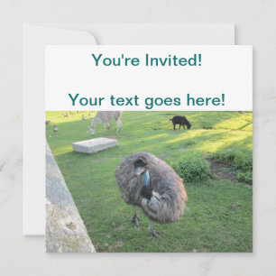 Invitation Emu