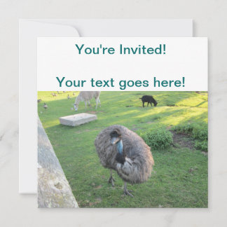 Invitation Emu