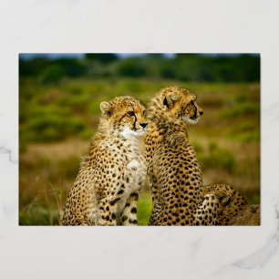 Invitation En Aluminium Faune Cheetah Pair Anniversaire Or