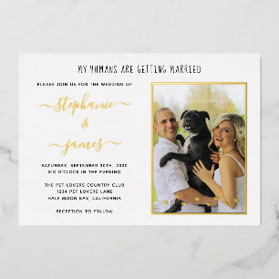Invitation En Aluminium Mes humains se marient Photo de mariage d'animaux