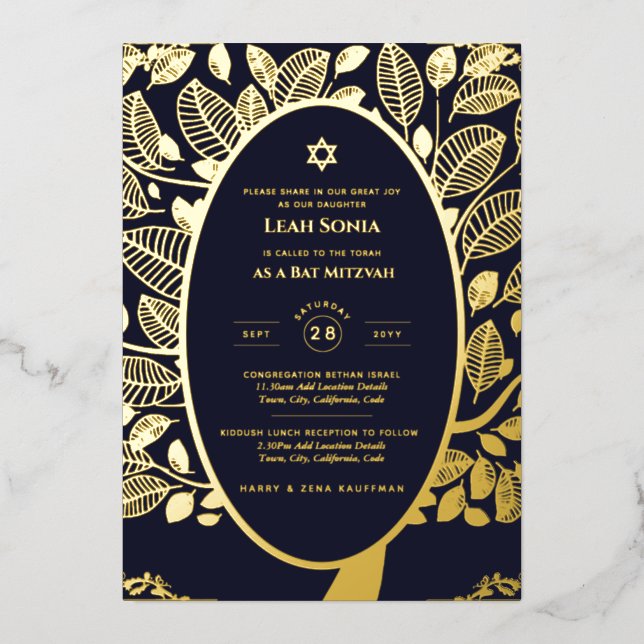 Invitation En Aluminium Personnalisable Bat Bar Mitzvah Événement, Élégant (Recto)