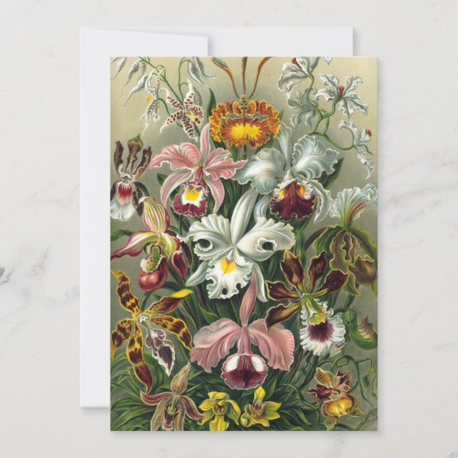 Invitation Ernst Haeckel Orchidées, Fleurs de la Forêt Tropic (Devant)