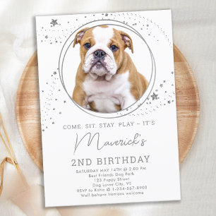 Invitation Etoiles d'argent Anniversaire Personnalisé Animaux