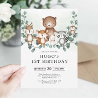 Eucalyptus Bois Animaux Végétation 1er Anniversair