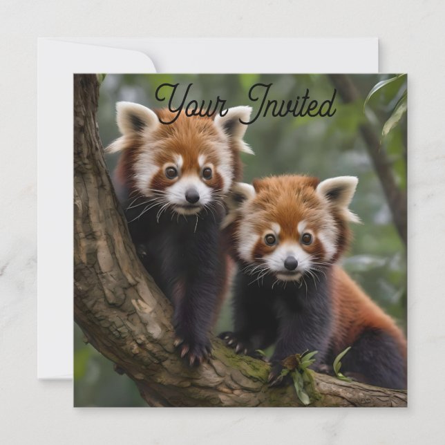 Invitation "Explorateurs en haut de l'arbre : Pandas rouge bé (Devant)