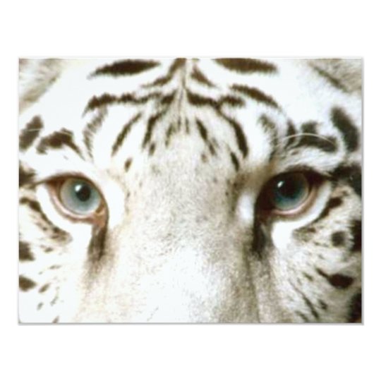Invitation Ez D Invitation Des Yeux Du Tigre Blanc A Zazzle Fr Invitation Ez D Invitation Des Yeux Du Tigre Blanc A Zazzle Fr
