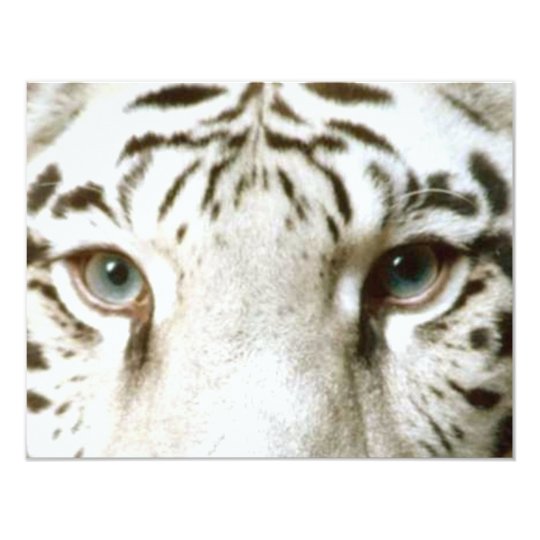 Invitation Ez D Invitation Des Yeux Du Tigre Blanc A Zazzle Fr