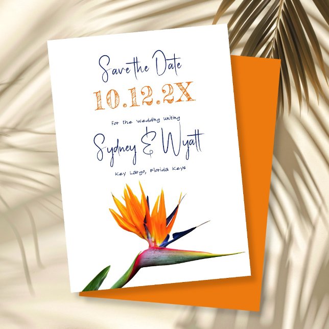 Invitation Faire part de mariage simple oiseau de paradis (Créateur téléchargé)