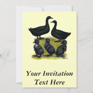 Invitation Famille de canards Cayuga