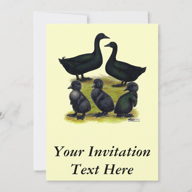 Invitation Famille de canards Cayuga (Devant)