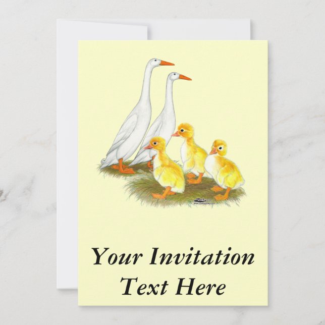 Invitation Famille de canards coureurs blancs (Devant)