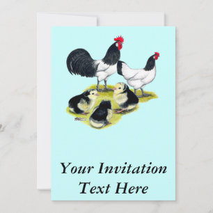 Invitation Famille de poules Lakenvelder