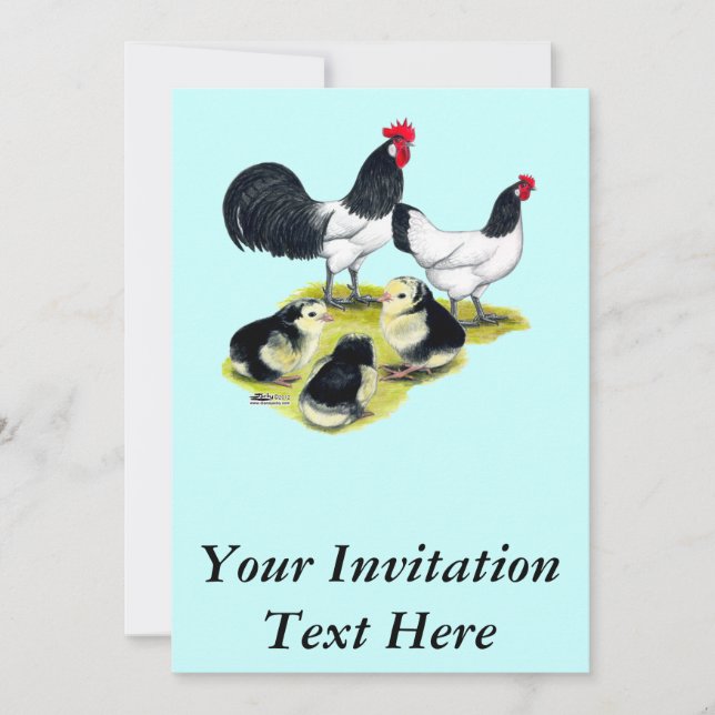Invitation Famille de poules Lakenvelder (Devant)