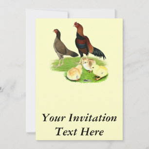 Invitation Famille de poulets Aseel Wheaten