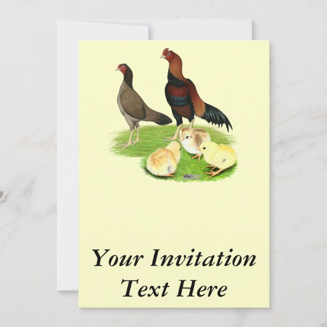 Invitation Famille de poulets Aseel Wheaten (Devant)