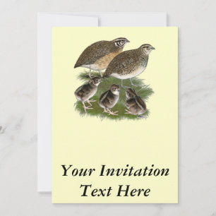 Invitation Famille des Cailles Coturnix