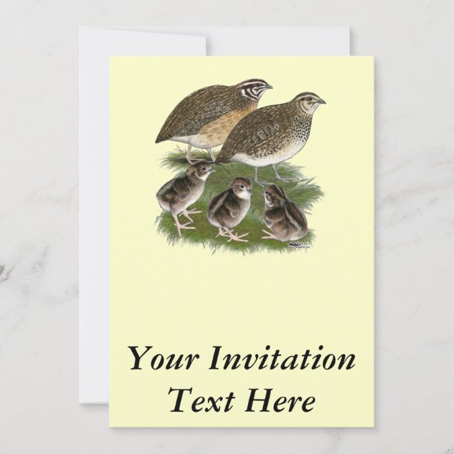 Invitation Famille des Cailles Coturnix (Devant)