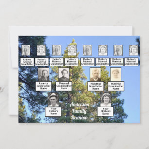 Invitation Famille Réunion Famille Arbre Pinède Forêt