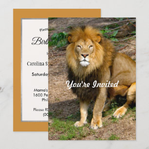 Invitation Faune Afrique Lion assis photo Anniversaire