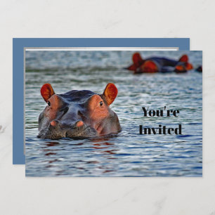 Invitation Faune Hippo photo d'eau Anniversaire