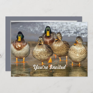 Invitation Faune Mallard Ducks Photo Anniversaire