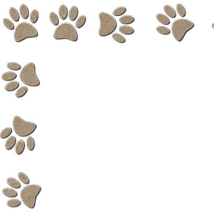 Invitation Faux Papier Texture Empreintes de pattes Base Pour