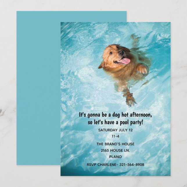 Invitation Fête au Piscine pour Chien qui Nage (Devant / Derrière)