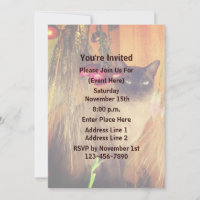 Fête d'animaux de chat siamois