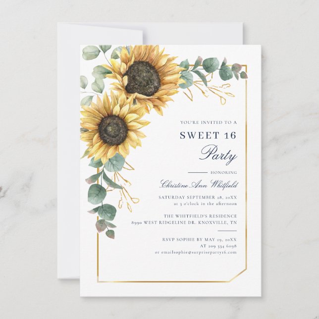 Invitation Fête d'anniversaire de 16 ans sur le thème des tou (Devant)