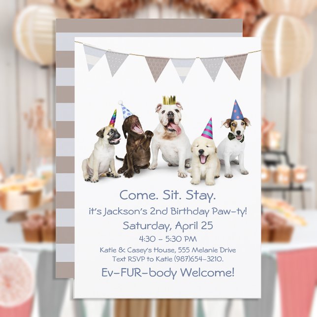 Invitation Fête d'anniversaire de chien pour garçon chiot (Créateur téléchargé)