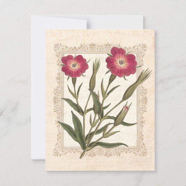 Invitation Fête d'anniversaire des 50 ans de l'élégante jardi (Devant)