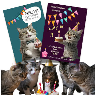 Invitation Fête d'anniversaire du chat fête du chaton Invitat