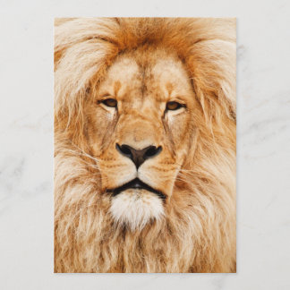 Invitation Fête d'anniversaire du lion