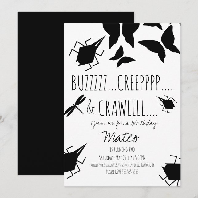Invitation Fête d'anniversaire papillon libellule insecte  (Devant / Derrière)