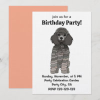 Fête d'anniversaire pour chien caniche