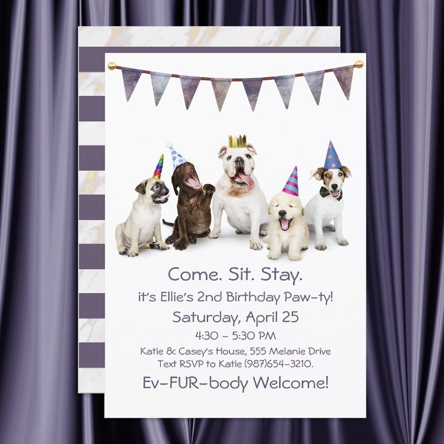Invitation Fête d'anniversaire pour chien pour tout chiot (Créateur téléchargé)