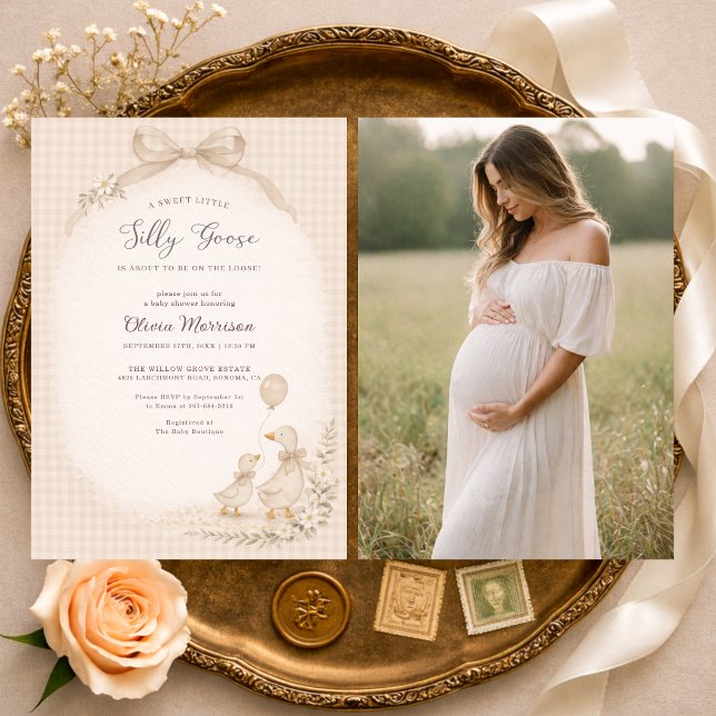 Invitation Fête de bébé en vichy à l'oie drôle avec photo  (Créateur téléchargé)
