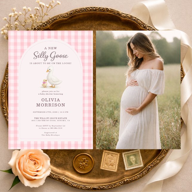 Invitation Fête de Bébé Silly Goose Rose à Carreaux (Créateur téléchargé)