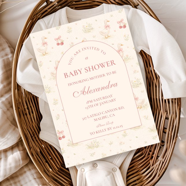 Invitation Fête de bébé Silly Goose Vintage (Créateur téléchargé)