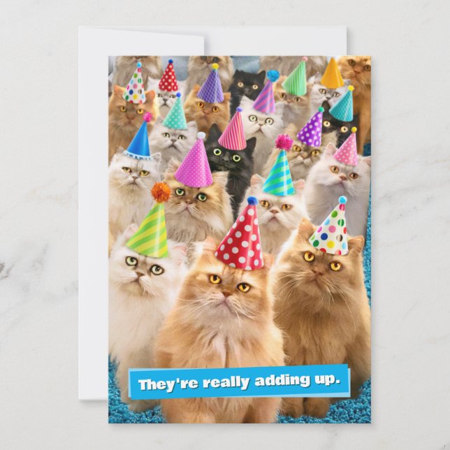 Invitation Fête de chats (Devant)