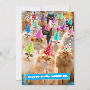 Invitation Fête de chats