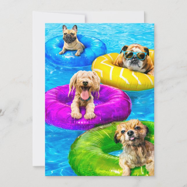 Invitation Fête de chien à la piscine (Devant)