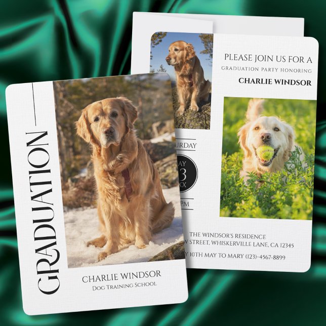Invitation Fête de chien Inviter Photos d'animaux de compagni (Dog Graduation Invitation cards)