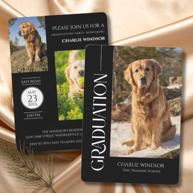 Invitation Fête de chien Noir & Blanc Diplômé (Dog Graduation Invitation cards)