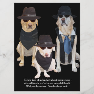 Invitation Fête de diplômes Funny Labs personnalisable