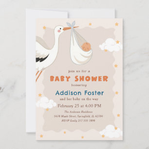 Invitation Fête de Naissance Bébé Livraison Spéciale Cigogne
